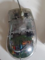 2018-09-10 13.25.14.jpg