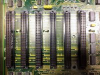 IMG_2028.jpg IMG_2028.jpg