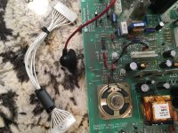 IMG_4298-small.jpg IMG_4298-small.jpg