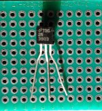 2018-11-11 13.59.21.jpg