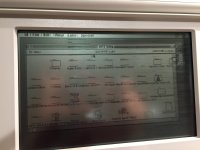 6110DEFD-50CA-4E25-A0AB-42CBE9DD4E20.jpeg 6110DEFD-50CA-4E25-A0AB-42CBE9DD4E20.jpeg