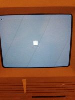IMG_4275.JPG