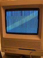 IMG_5449.jpeg IMG_5449.jpeg
