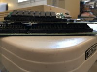 IMG_5801.jpeg