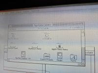 2019-03-22 15.50.25.jpg