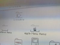 2019-03-22 15.50.42.jpg