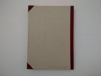 Through The Looking Glass - back.jpg