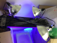 Screen Shot 2015-10-04 at 2.32.49 AM.png