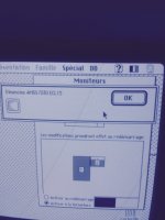 FullSizeRender (2).jpg