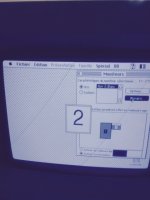 FullSizeRender (4).jpg