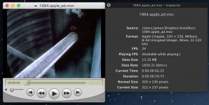 Apple1984_Original_CinePak.jpg