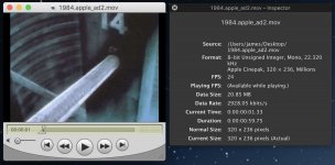 Apple1984_QTconverted_CinePak.jpg
