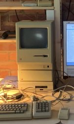 919B2E6D-403C-4E91-90AE-57F3AA471D51.jpeg 919B2E6D-403C-4E91-90AE-57F3AA471D51.jpeg