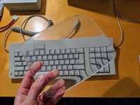 IMG_20190524_181834~2-3024x2268.jpg IMG_20190524_181834~2-3024x2268.jpg