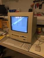 D44D4E82-B889-4135-97E0-C4345CA8AE9F.jpeg D44D4E82-B889-4135-97E0-C4345CA8AE9F.jpeg