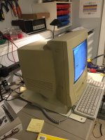 E5BC808D-4462-4824-A9C0-417BC1A101F5.jpeg E5BC808D-4462-4824-A9C0-417BC1A101F5.jpeg