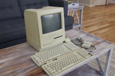 IMG_1010.jpeg