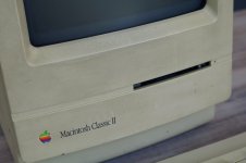 IMG_1014 2.jpeg