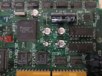 IMG_4499.JPG IMG_4499.JPG