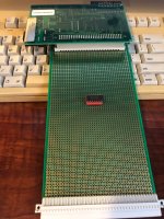 IMG_8428.jpeg