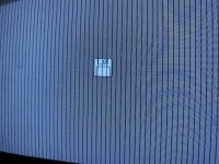 IMG_2416.jpeg