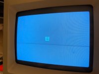IMG_2421.jpeg