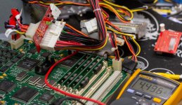 DSC_9233.jpg DSC_9233.jpg