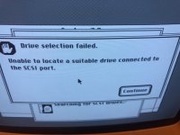 IMG_9178.jpeg IMG_9178.jpeg