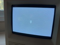 IMG_6238.jpeg IMG_6238.jpeg