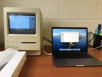 IMG_7333.JPG