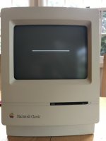 2020-03-24 18.29.58.jpg