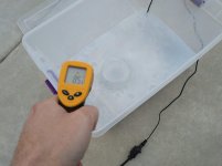IMG_20200325_185356.jpg