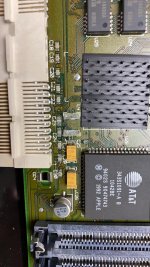 IMG_1485.JPG IMG_1485.JPG