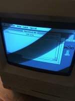 B9E1FB5F-C9ED-49A6-8E83-E6C47881EB7F.jpeg B9E1FB5F-C9ED-49A6-8E83-E6C47881EB7F.jpeg