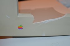 DSC_1333.jpg