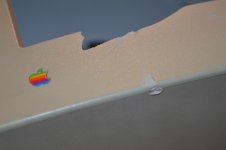 DSC_1331.jpg