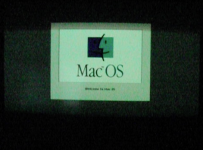 Screen Shot 2020-05-10 at 12.45.57 AM.png