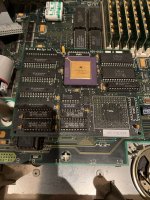 BUPUvDH.jpg BUPUvDH.jpg