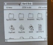 Lisa Video Wobble.jpg