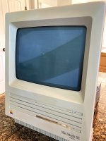 IMG_0395.jpg IMG_0395.jpg