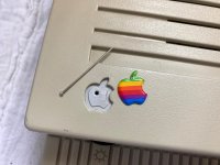 IMG_0440.jpg