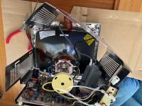 IMG_4286.jpeg IMG_4286.jpeg