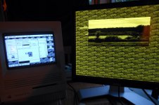 DSCN5909.JPG