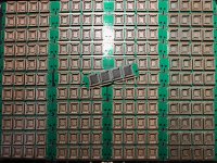 IMG_0832.jpeg IMG_0832.jpeg