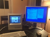 22CA1570-3DD9-4A47-9304-7E25C79AB447.jpeg