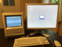 09EDD056-F8EA-4C80-9148-BF71E53281F0.jpeg