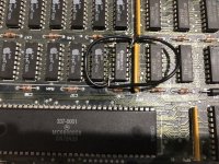 EAB05247-CBF2-4830-AC7F-3665EF8ECDC5.jpeg