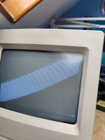 Mac_Img.jpg