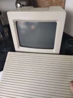 IMG_20200821_184237.jpg IMG_20200821_184237.jpg