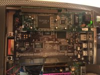 IMG_5392.jpg IMG_5392.jpg